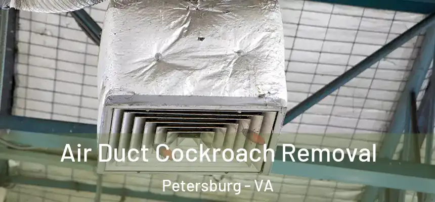  Air Duct Cockroach Removal Petersburg - VA