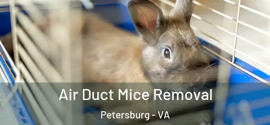  Air Duct Mice Removal Petersburg - VA