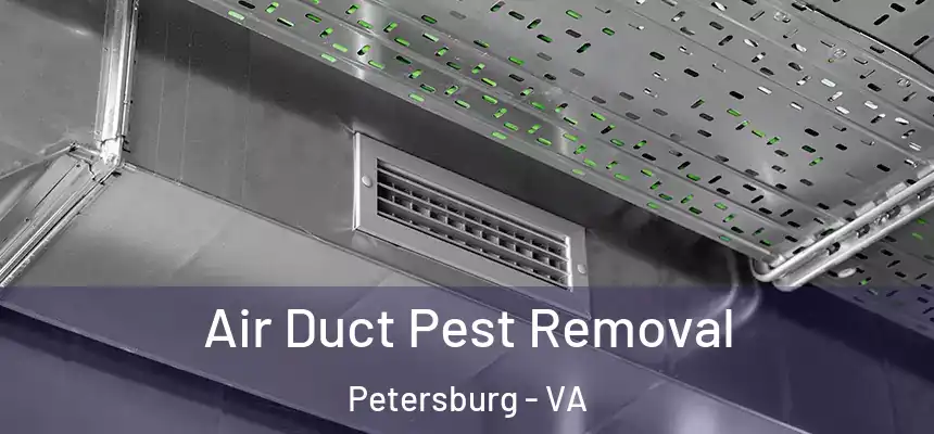 Air Duct Pest Removal Petersburg - VA