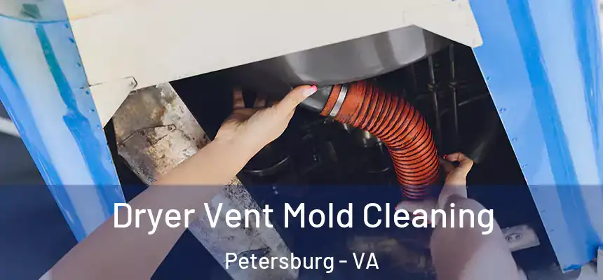 Dryer Vent Mold Cleaning Petersburg - VA