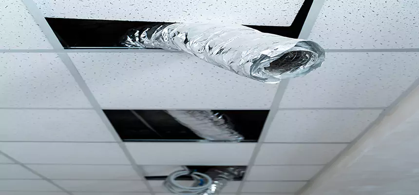 Our Air Duct Pet Hair Removal Services in Petersburg, VA