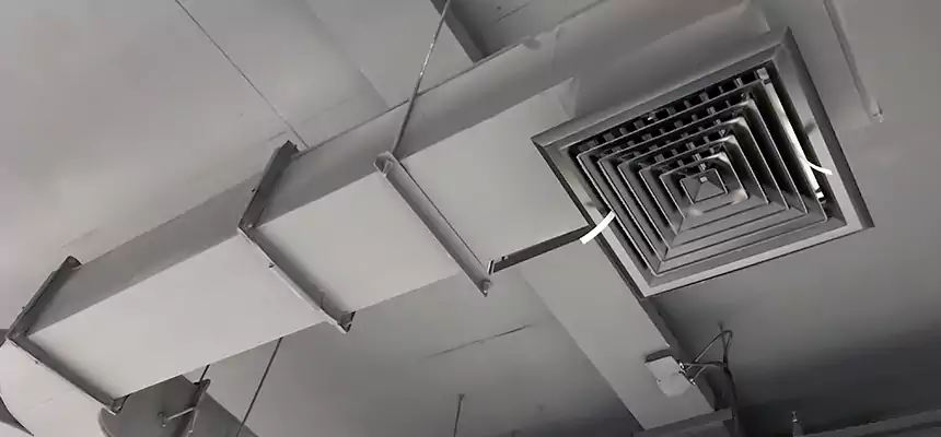 Restorative Allergy Relief Vent Cleaning – Coil, Blower & Housing Detail in Petersburg