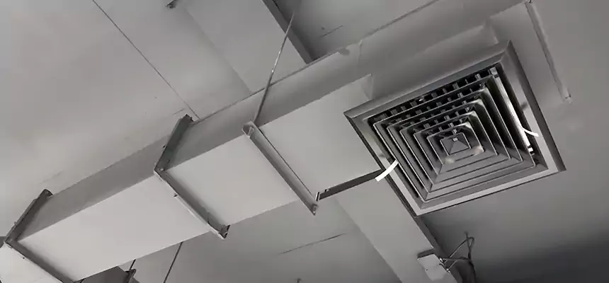 Our Rodent Droppings In Vents Services in Petersburg, VA