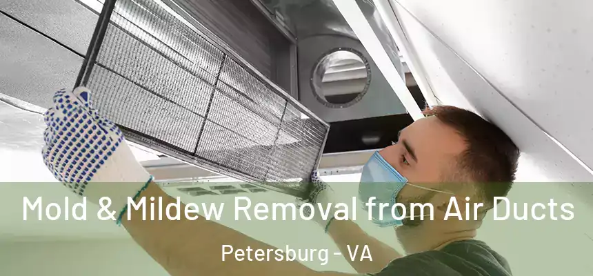  Mold & Mildew Removal from Air Ducts Petersburg - VA