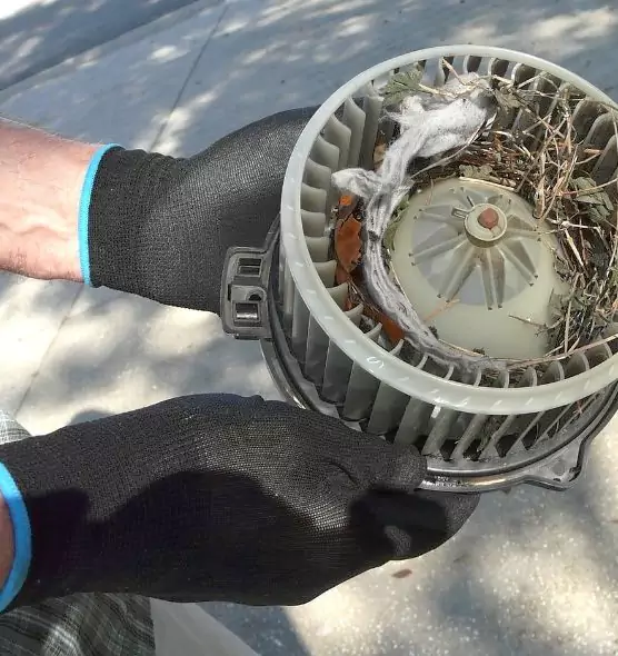 About Air Duct Mice Removal in Petersburg, VA