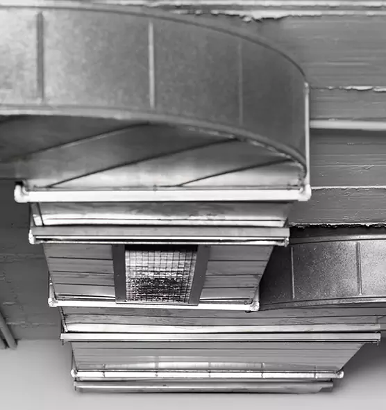 Professional Air Duct Pet Hair Removal in Petersburg, VA