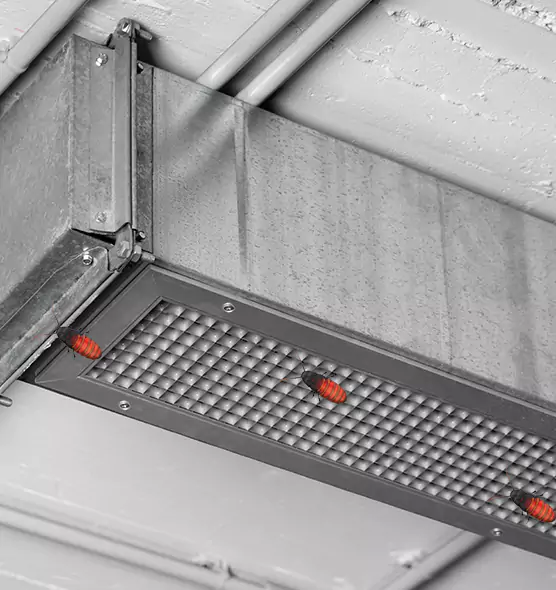 Affordable Insect Removal from Air Ducts in Petersburg, VA