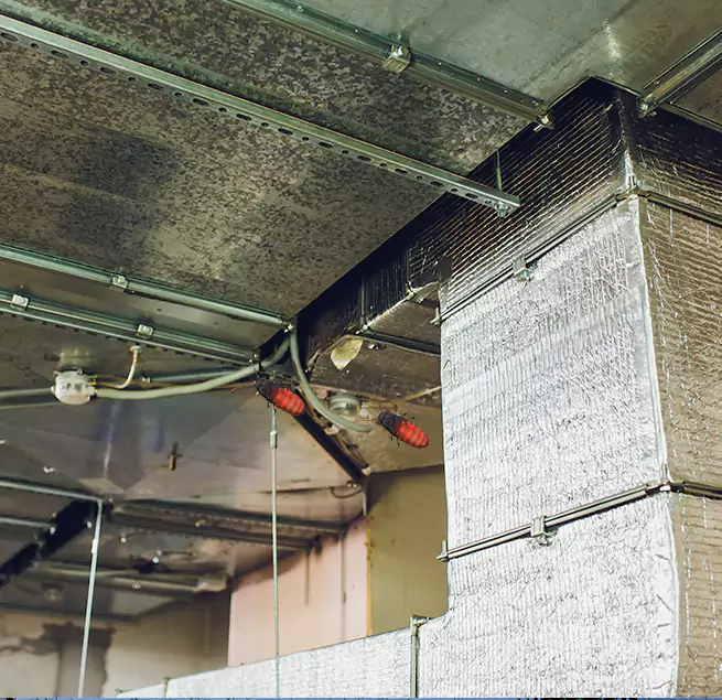 Why Homeowners & Businesses Trust Us in Petersburg, VA?