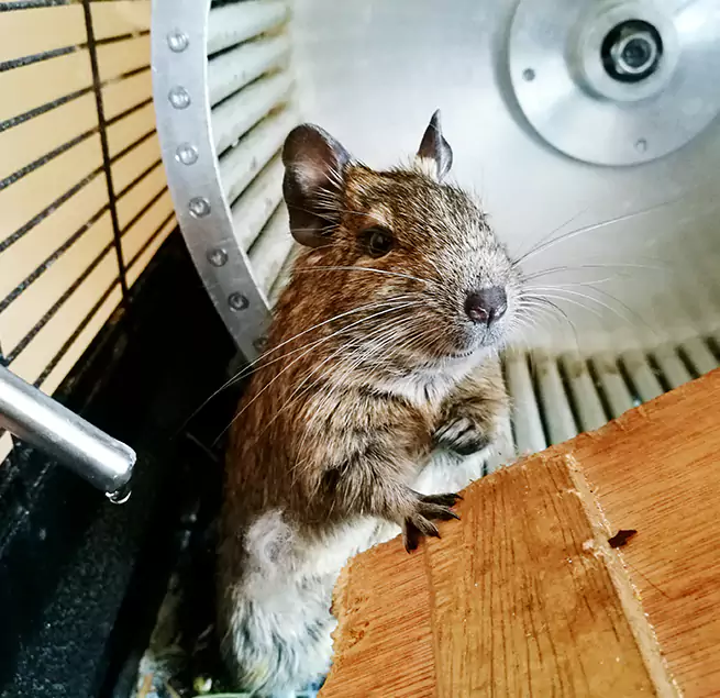 Why Homeowners & Businesses Trust Us Petersburg, VA