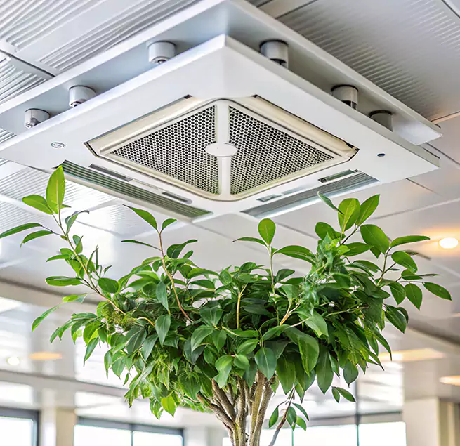 Why Homeowners & Businesses Trust Us in Petersburg, VA?